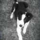 3 meses!